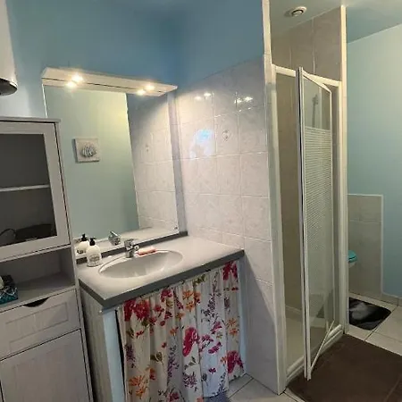 公寓 L'arbre De Vy - T2 42m2 Independant, 5 Pers, Garage, Proche Gare